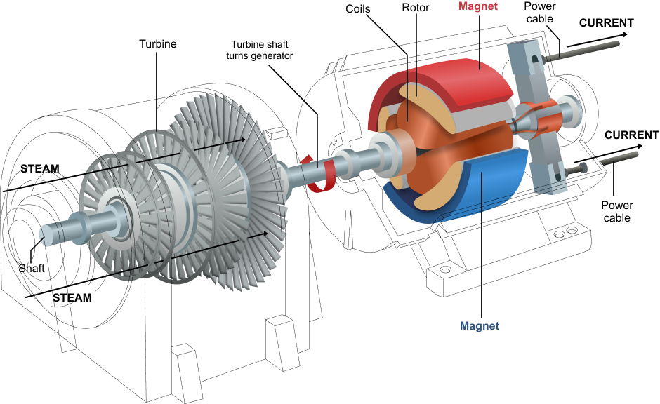 Turbine and generator cross-section showing steam, turbine blades, shaft, rotor, coils, magnets, and power cable